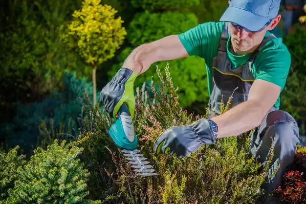 landscaping services Gilbertsville
